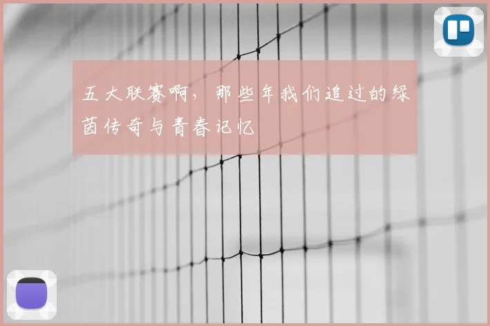 五大联赛啊，那些年我们追过的绿茵传奇与青春记忆